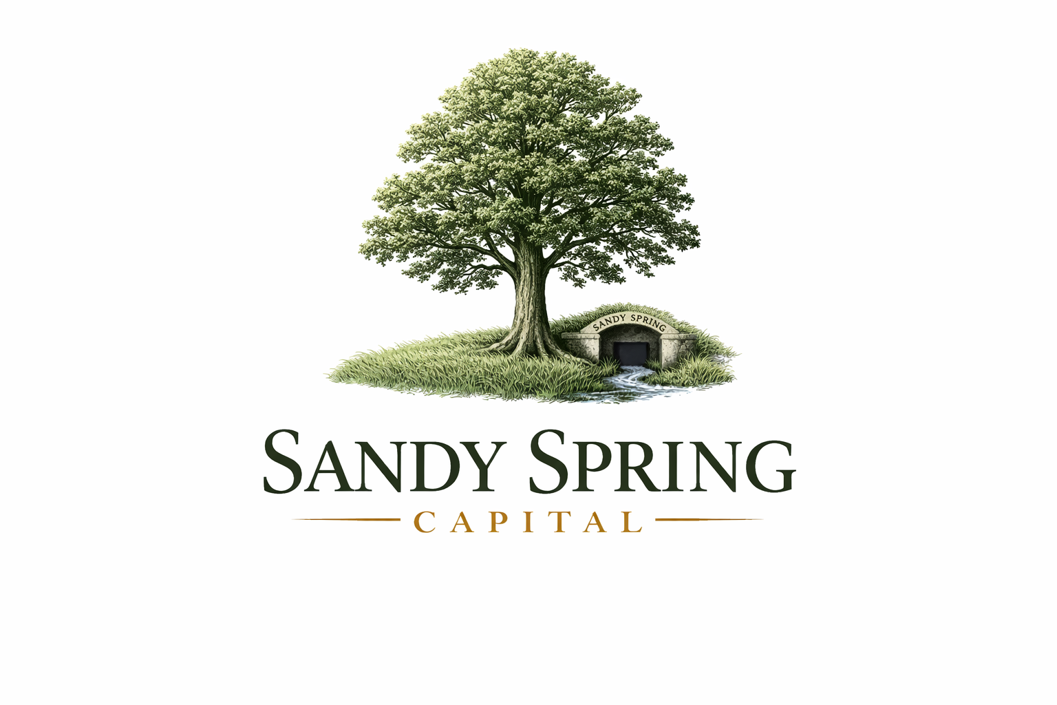 Sandy Spring Capital